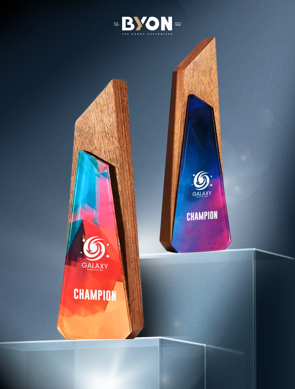 Design R Crystal Trophy