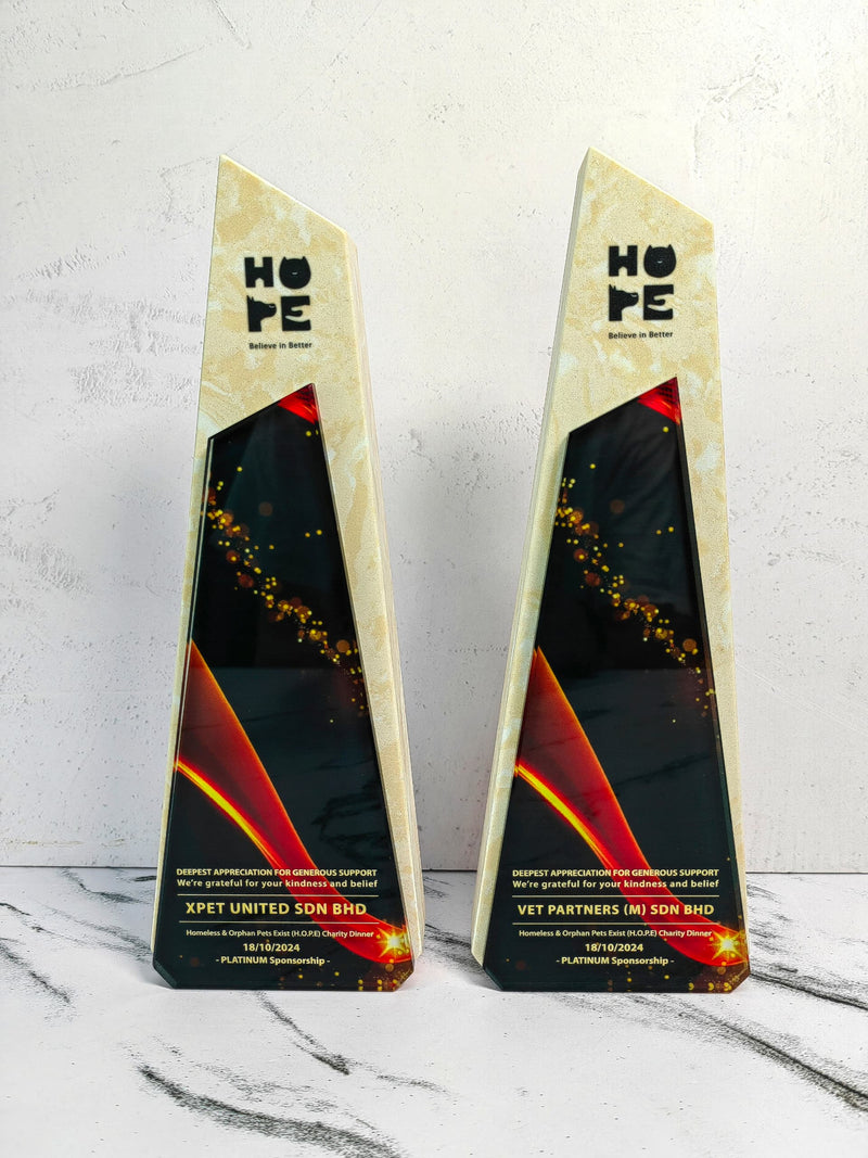 Design i Crystal Trophy