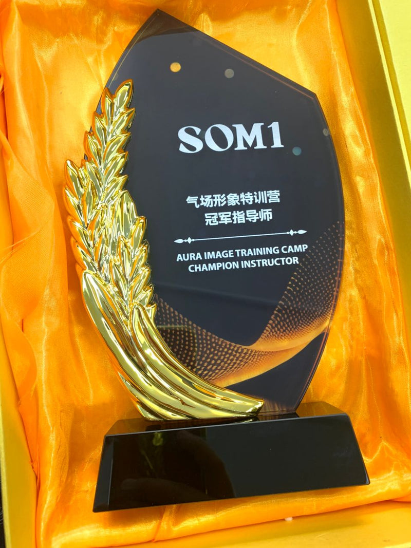 Design Q Crystal Trophy