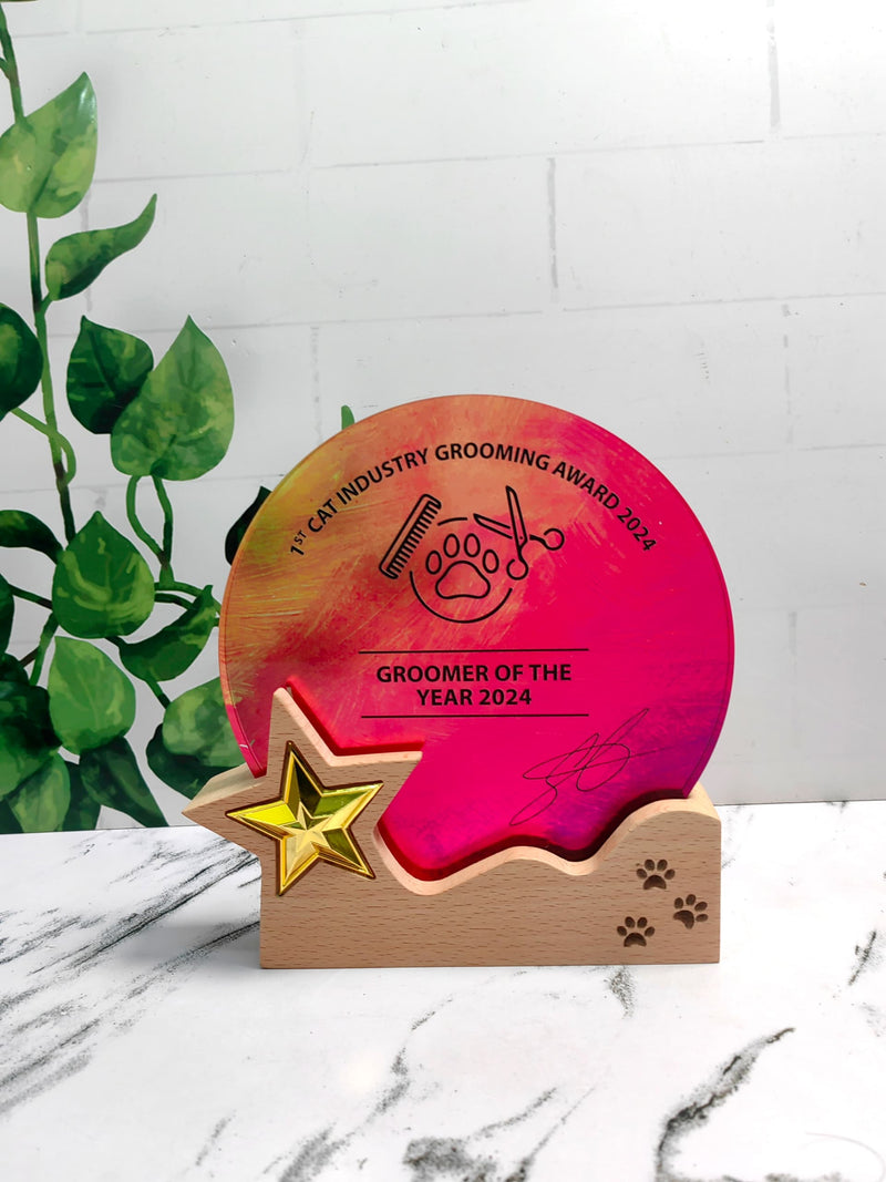 Design V Crystal Trophy