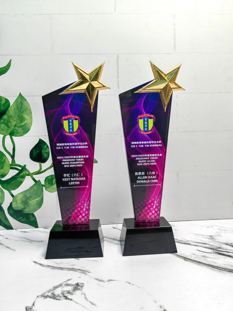 Design B Crystal Trophy