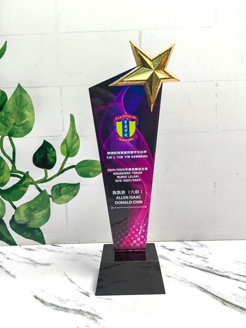 Design B Crystal Trophy