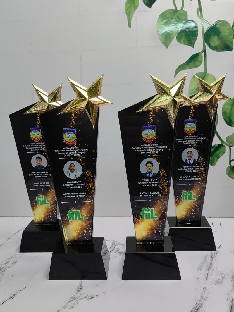 Design B Crystal Trophy