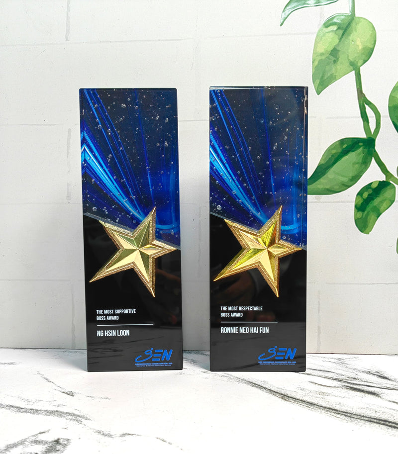 Design L Crystal Trophy