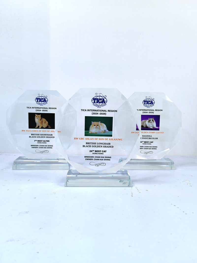 Design AD42 Crystal Trophy