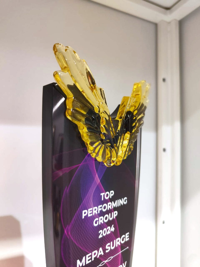 Design AD3 Crystal Trophy