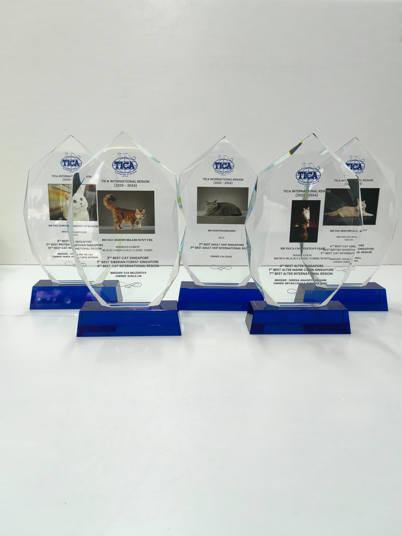 Design S Crystal Trophy