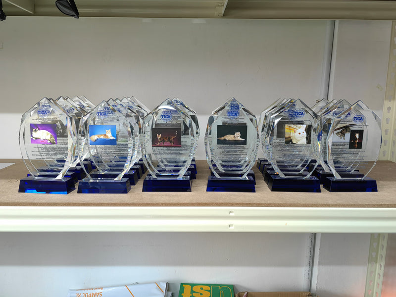 Design S Crystal Trophy