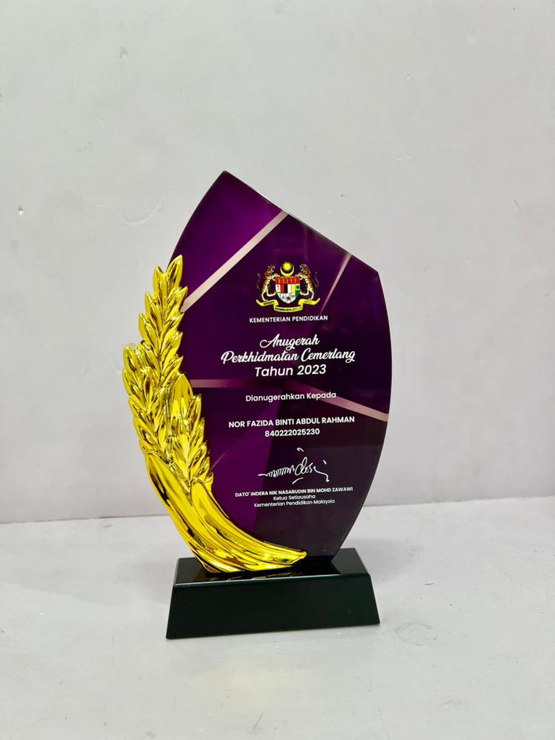 Design Q Crystal Trophy