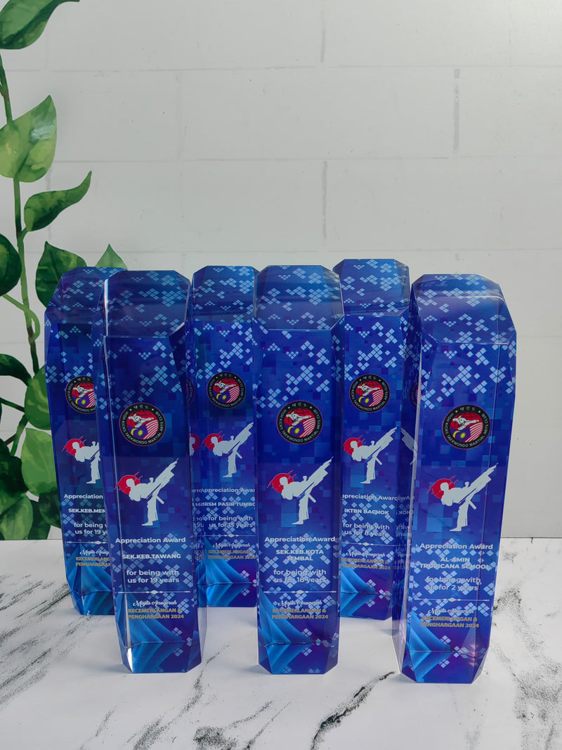 Design N Crystal Trophy
